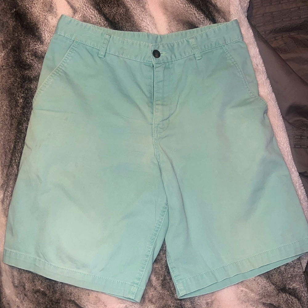 Awesome Faded Glory Light Green Casual Flat Front Mens Shorts Size 32!